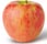 Picture of Honey Crisp apple