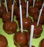 Apple Varieties at Anderson Orchard in Mooresville, Indiana