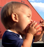 Fruits & Vegetable at Anderson Orchard in Mooresville, Indiana