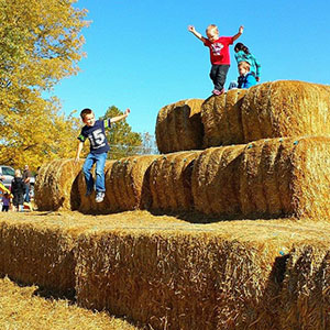 Anderson Orchard Children's Activities in Mooresville, Indiana