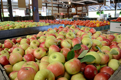 Anderson Orchard Country Store and products in Mooresville, Indiana