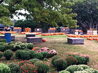 Fall season at Anderson Orchard in Mooresville, Indiana