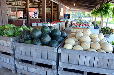 Picture of fresh fruits & vegetables at Anderson Apple Orchard in Indiana