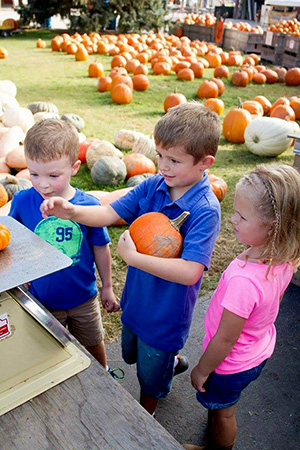 Anderson Orchard kid friendly October Fest in Mooresville, Indiana