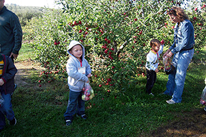 Anderson Orchard Field Trips Mooresville Indiana